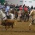 Liberty Bowl Rodeo